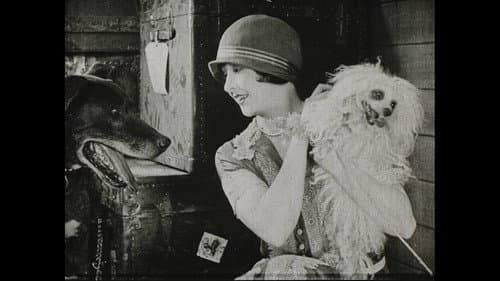Wonder Dogs! Canine Stars of the Silent Era (1898-1928) Bild 7