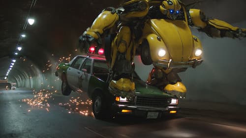 Bumblebee Bild 6
