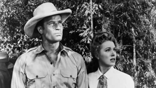 Wenn die Marabunta droht Bild 2