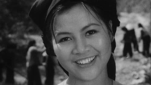 Lửa trung tuyến Bild 1