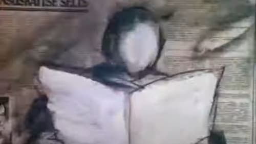 Animated Self-Portraits Bild 2