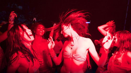 Der Nachtmahr Bild 1