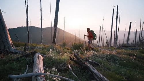 THRU: The Pacific Northwest Bild 2