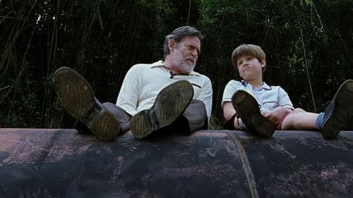 Mein kleiner Orangenbaum Bild 7