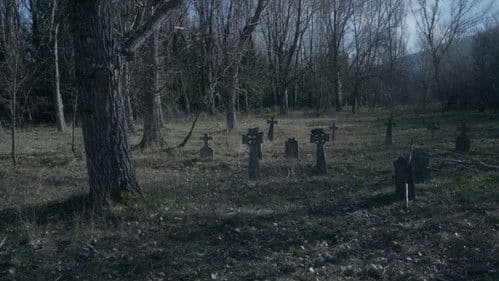 Vampyres - Lust auf Blut Bild 8