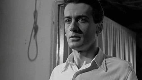 Το Οργανάκι του Αττίκ Bild 5