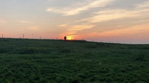 They Who Surround Us Bild 1