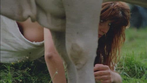 Sukkubus - den Teufel im Leib Bild 6