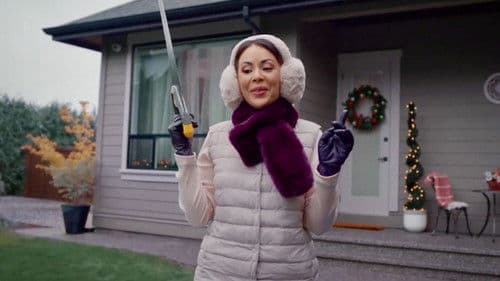 Die zauberhafte Weihnachtsfee Bild 2