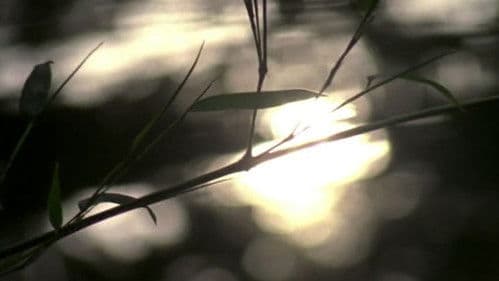 Hypnosis Display Bild 2