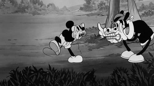 Campingfreuden Bild 3