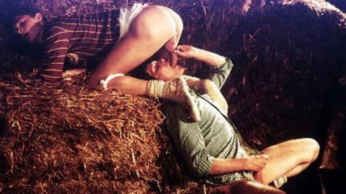 Pension Complète Bild 3