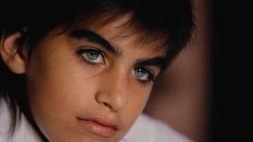 Vuelve - Komm zurück! Bild 2