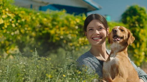 Caju, Meu Amigo Bild 2