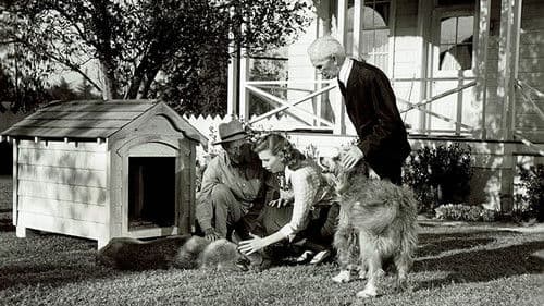 You Never Can Tell Bild 2