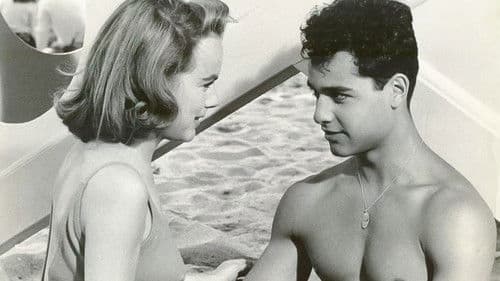 Das gibt's nur in Amerika Bild 2