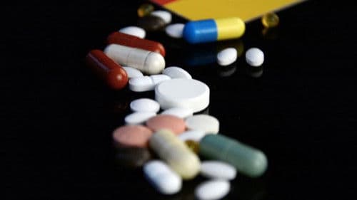 A Leaf of Faith Bild 2