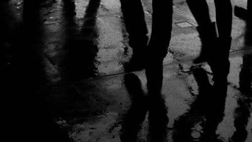 Hypnosis Display Bild 8