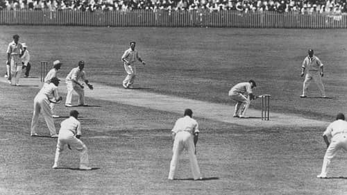 Empire of Cricket Bild 1