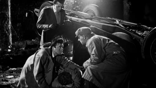 Der schlafende Tiger Bild 1