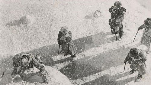 Yeti, der Schneemensch Bild 4