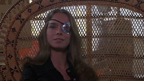 Die Bronx-Katzen Bild 2