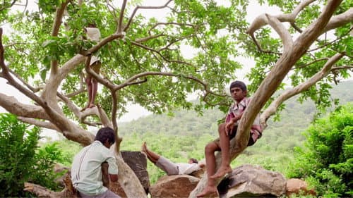 கிணறு Bild 6