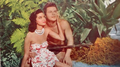 Elephant Stampede Bild 1