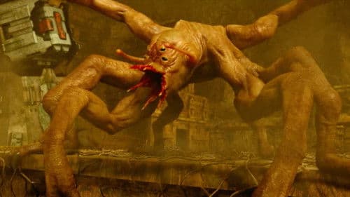 黄金蜘蛛城 Bild 4