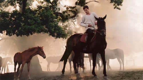 Шум вітру Bild 1