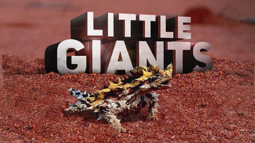 Little Giants – Kleine Tiere ganz groß Bild 1