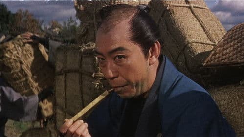 大菩薩峠 竜神の巻 Bild 7