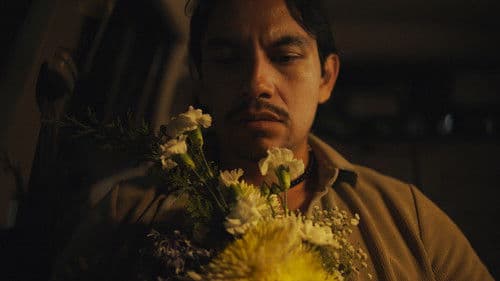 Tailored for you Bild 3