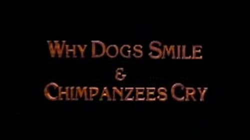 Why Dogs Smile and Chimpanzees Cry Bild 1