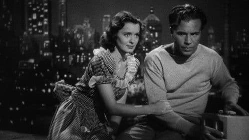 Weihnachten im Juli Bild 6