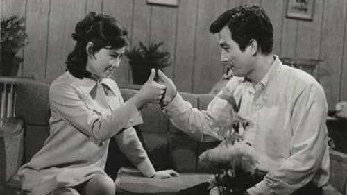 젊은 느티나무 Bild 2