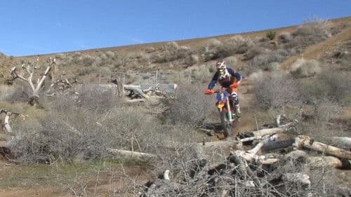 As the Gears Turn Bild 1