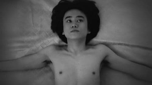 A Garden Without Birds Bild 3