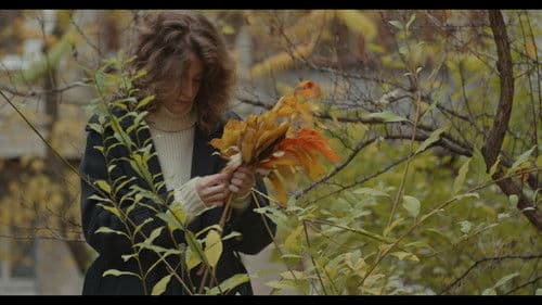 Sonus ex Machina Bild 3