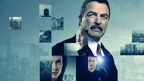 Blue Bloods Bild 2