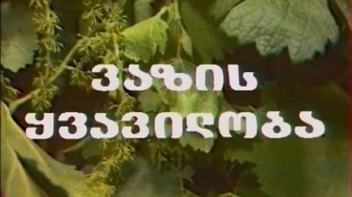 ვაზის ყვავილობა Bild 1