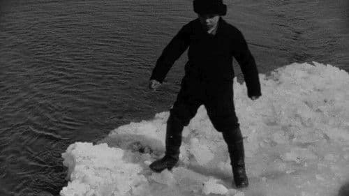 Пригоди полтинника Bild 3