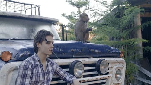 The Last Zombie Bild 1