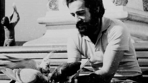 Sanmao: la novia del desierto Bild 5