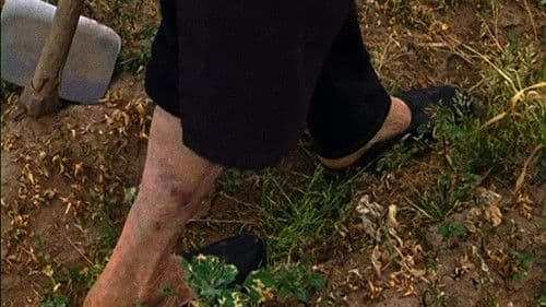 Terra que marca Bild 1