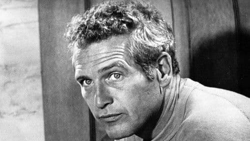 Sie möchten Giganten sein Bild 2