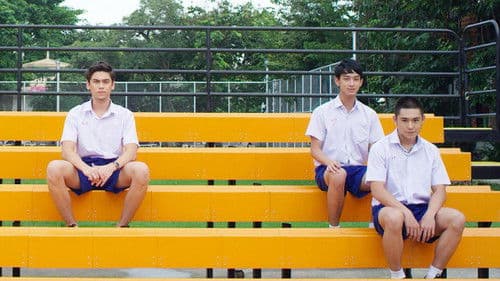 สวีทบอย Bild 3