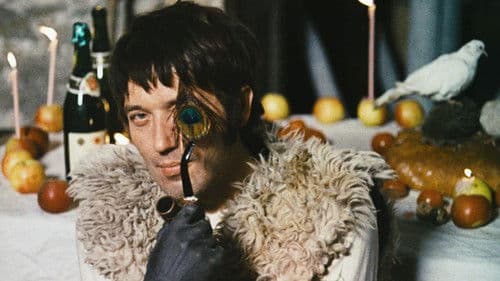 Vtáčkovia, siroty a blázni Bild 3