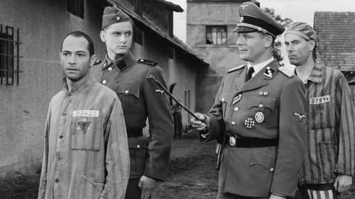 Der Verschlag Bild 3