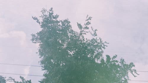 Beyond The Alps Bild 1